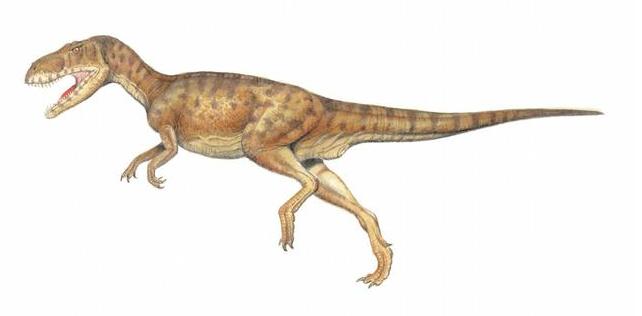 科学家猜测恐龙灭绝的原因是什么,科学家称恐龙还未灭绝