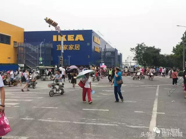 驱车百公里带聊城网友感受济南宜家的魅力，现场火爆商品抢购一空