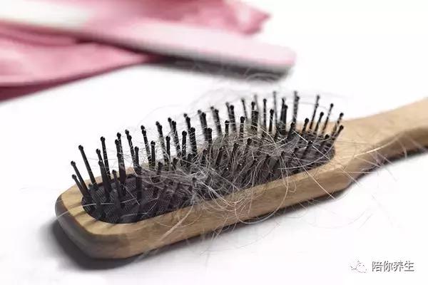 经常掉头发怎么治疗小妙招,经常掉头发最有效的方法