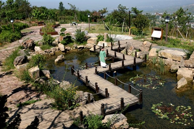 伊滨区万安山山顶公园,洛阳万安山山顶公园照片