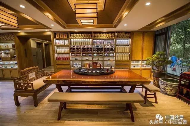 盆景的意境之美,优雅的盆景