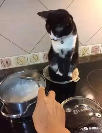 别跟我谈什么梦想我只想躺赢,别跟我谈什么梦想