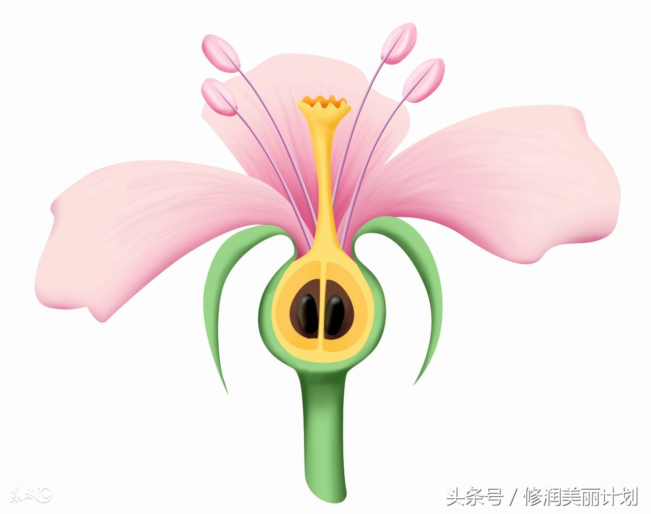 妇科知识分享视频,妇科知识宣传视频