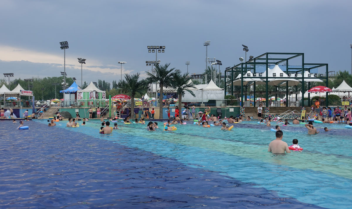 汪星人大战螃蟹,汪星人大战龙虾