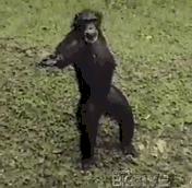 缺钱借钱的平台,借钱用什么方法比较合适