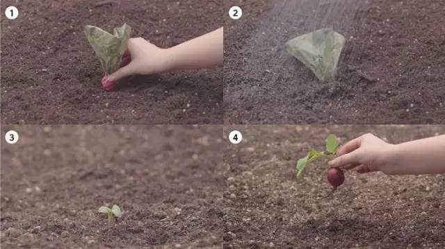 日本民众抢疯蔬菜,日本人抢购中国食物