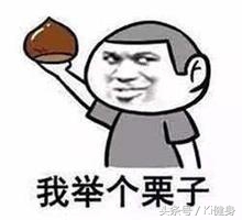 小腿肌肉磁共振解剖,小腿血管解剖图解