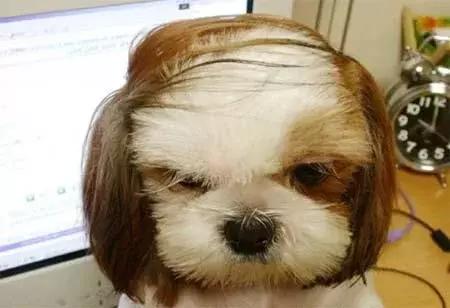 妈！你和爸快来学校吧，爷爷穿那么多把他热中暑了