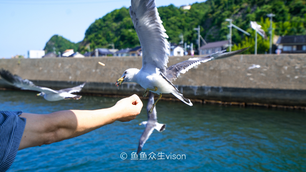 这里是日本,日本旅游柯南故乡