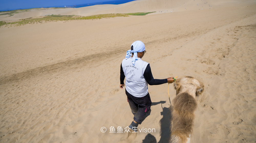 这里是日本,日本旅游柯南故乡