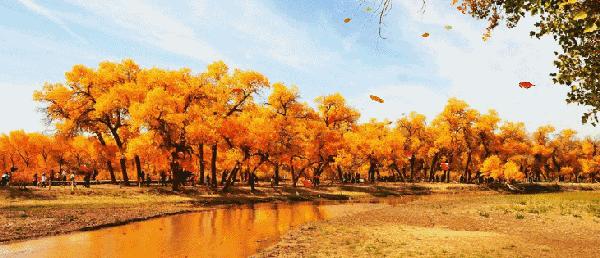 川西最美秋景,四川最美秋景