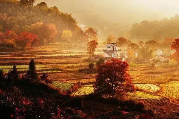 川西最美秋景,四川最美秋景