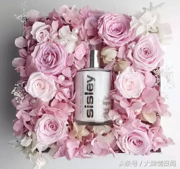 罗子君职场逆袭视频,罗子君独立自强