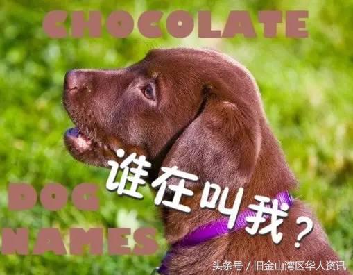 美国人看来很俗的英文名,在美国起什么样的英文名