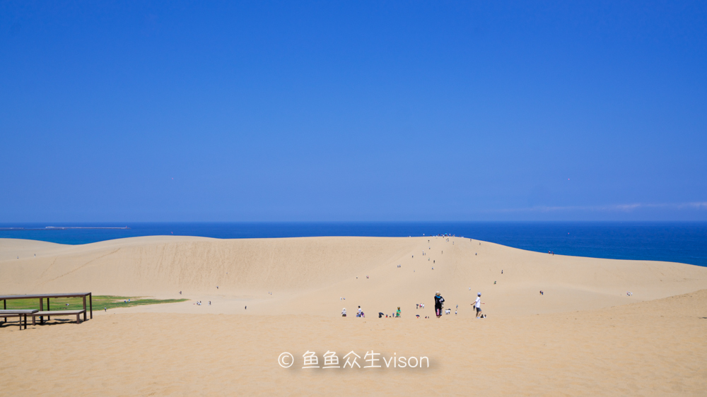 日本东京大阪最值得去的地方,日本大阪深度游攻略