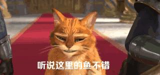 海口哪里的烤鱼最好吃,海口好吃高级海鲜店