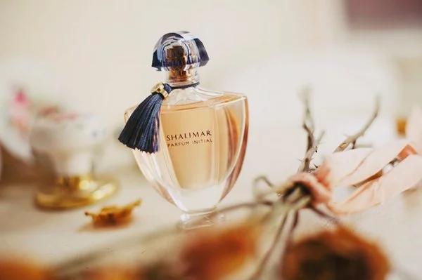 从零开始入门到精通的知识,入门基础知识从零开始