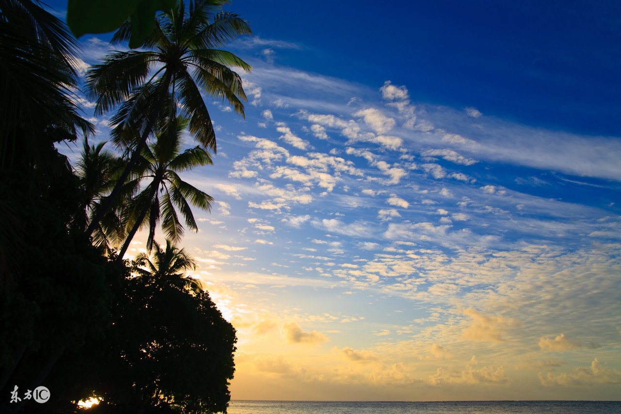 初中七年级下册英语语法总结归纳,沪教版八年级下册英语语法知识点