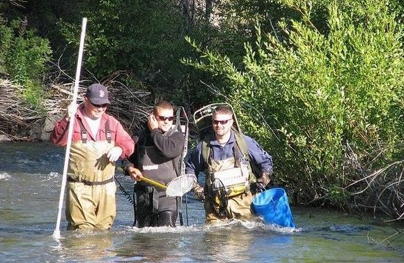 美国农场的盈利模式,美国农场是怎么挣钱的