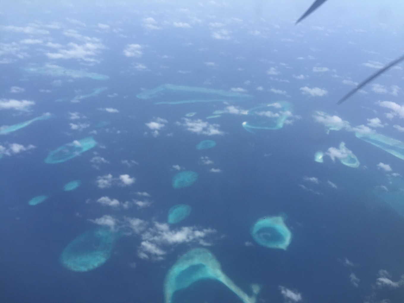 马尔代夫来北京,马尔代夫来三里屯