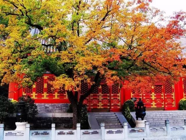 川西最美秋景,四川最美秋景