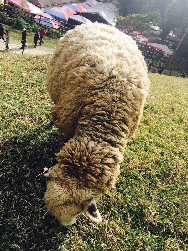 台湾台中，一个想让人呆一辈子的地方