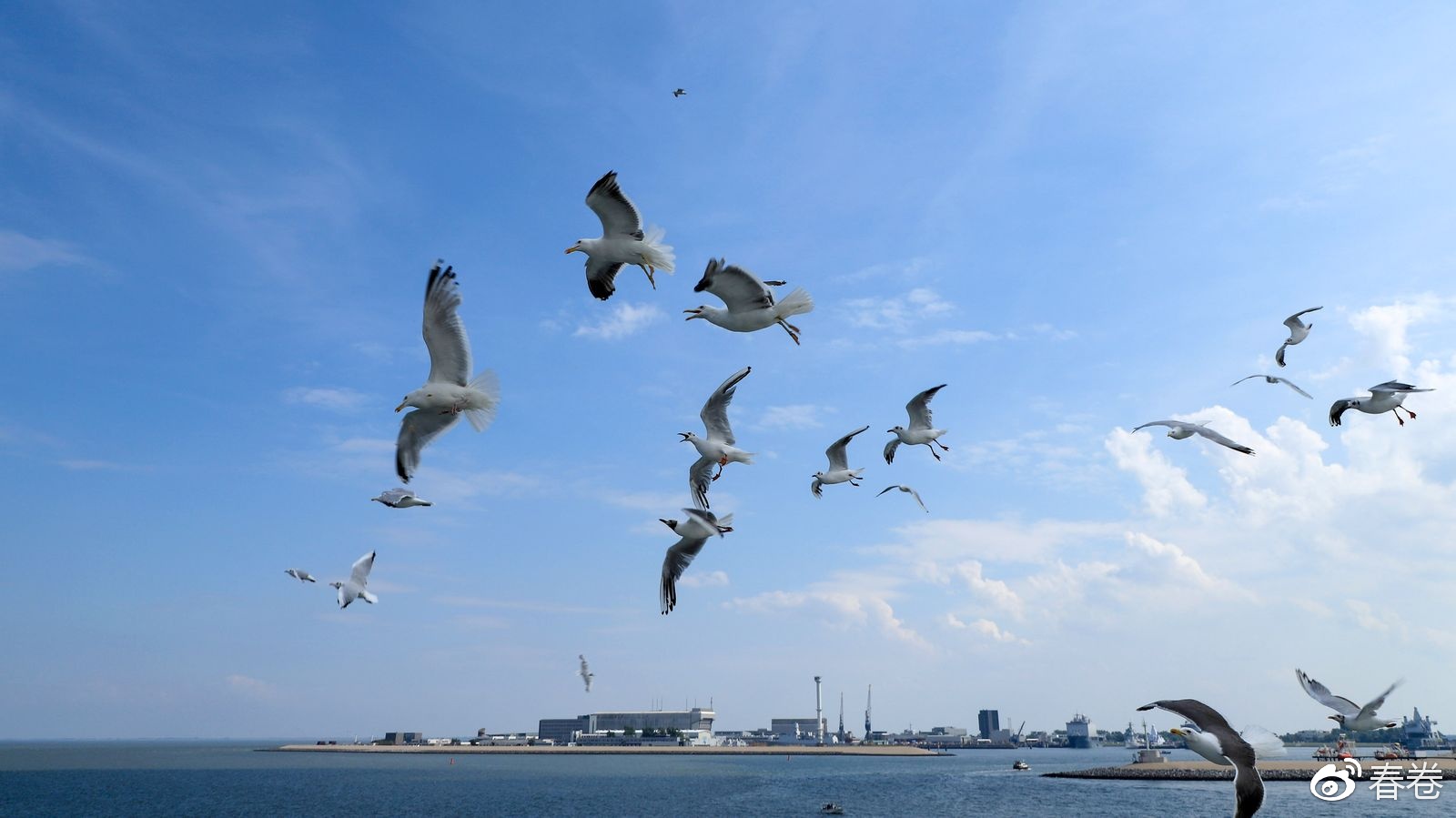 佳能6d2到底值不值得入手,6d2可通过固件升级解决宽容度吗