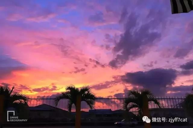 她单枪匹马从杭州出发,开着开着到了非洲腹地