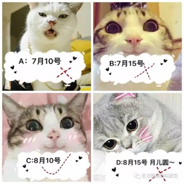 妇科门诊看病技巧,妇科用药正确姿势