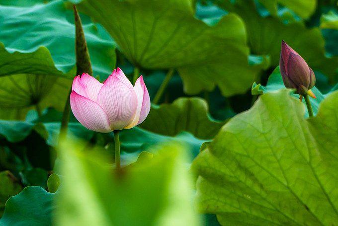 妗傛灄浼氫粰婀垮湴娓哥帺鏀荤暐,妗傛灄涓存浼氫粰婀垮湴鍏洯闂ㄧエ