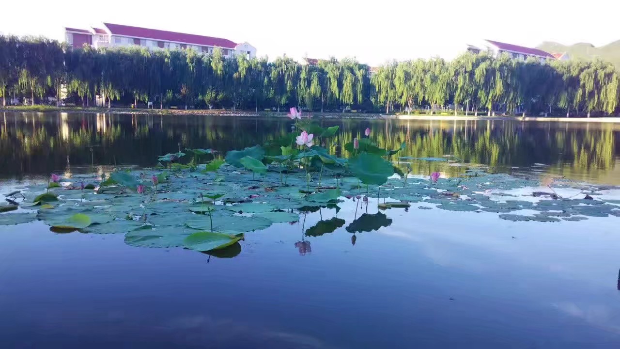 承德石油高等专科学校回忆,承德石油高等专科学校校园照