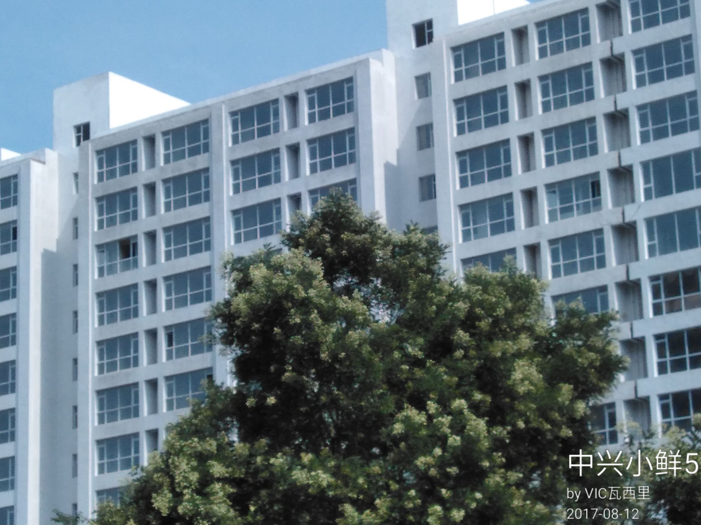 中兴小鲜5支持全网4g,手机除了处理器还有什么