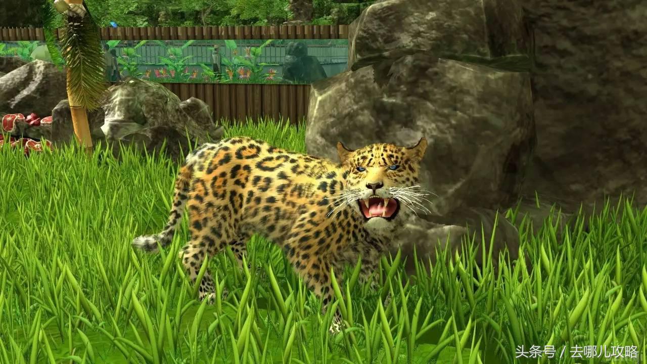 亚洲对中国免签好玩的海岛,十大免签海岛排名