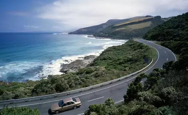 澳大利亚鲍鱼新西兰鲍鱼,澳大利亚顶级鲍鱼