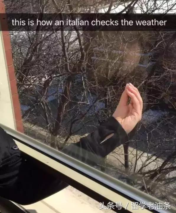 职高去意大利留学要学意大利语吗,去意大利留学只学语言