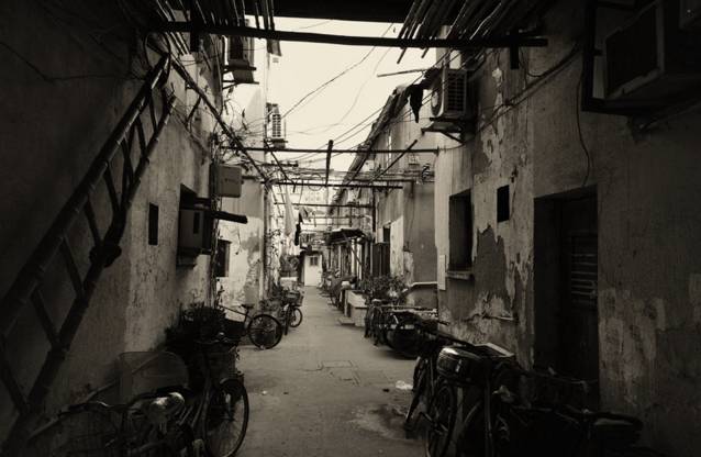 回力桀骜不驯,回力经典情怀