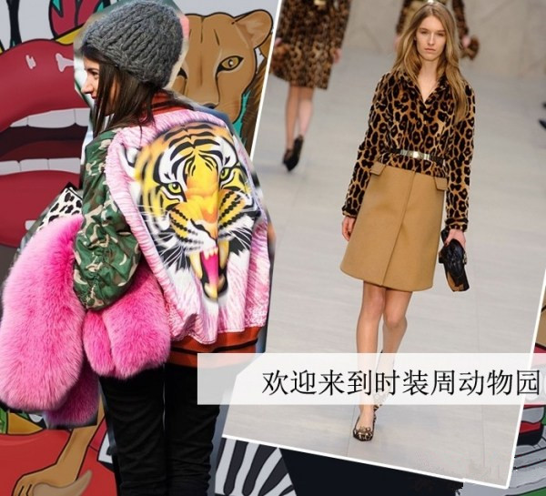 womens穿搭|动物图案穿上身穿得好叫时髦穿不好那是土