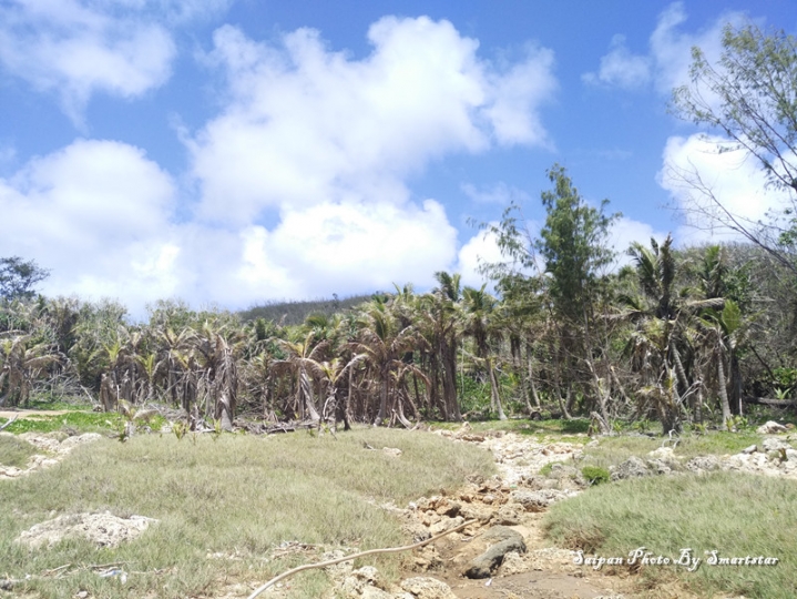 去塞班岛看海,带着小米NotePro和小蚁运动相机就足够了