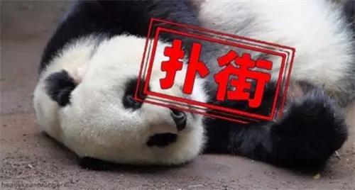 大师兄小师妹怎么样,手把手教你修复u盘