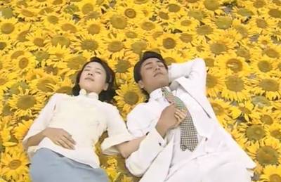 小仙女们看韩剧,仙女们看韩剧