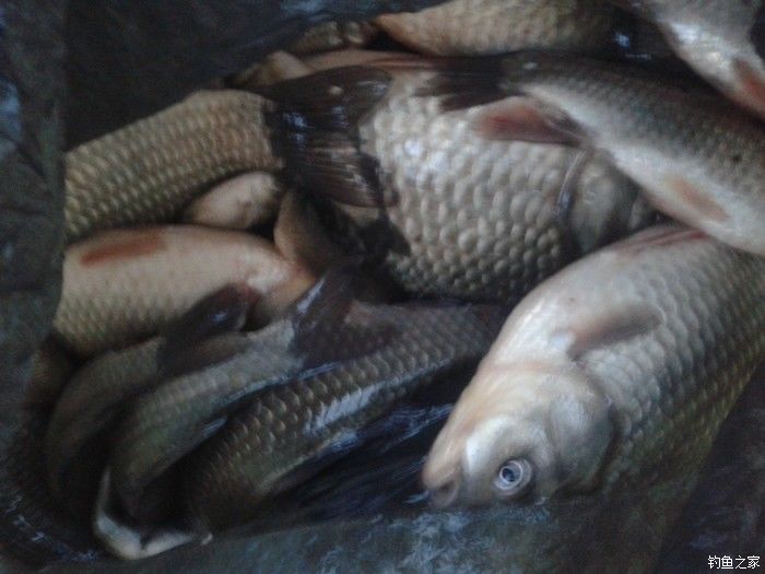 远征远征17,远征17-20