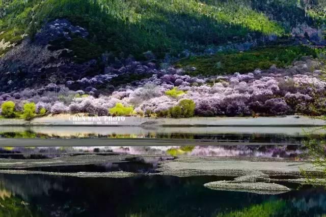 西藏林芝行一路风景如画,林芝最美小镇
