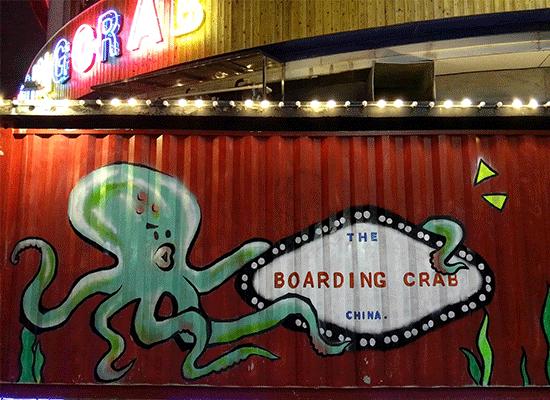 努比亚布拉格眼纹识别,漂亮的不像实力派海报解析