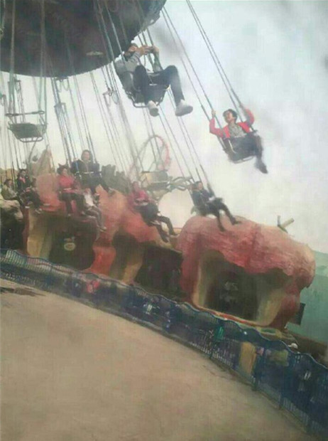 张亮天天抱猫照,张亮一家四口旅游视频