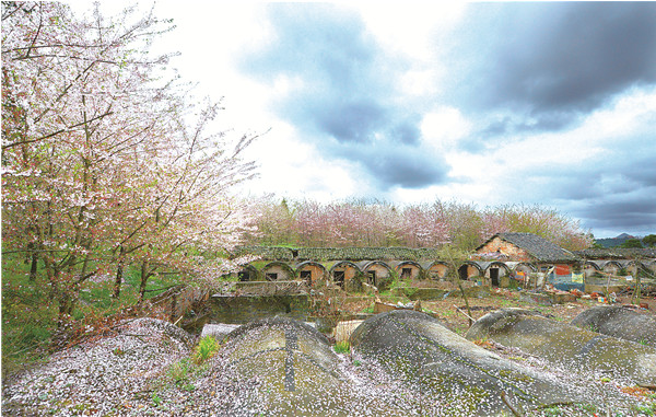 平坝万亩樱花花开季节,贵州平坝万亩樱花门票费是多少