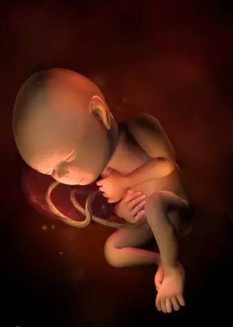 做个有爱的爸爸,做一个有爱的父母