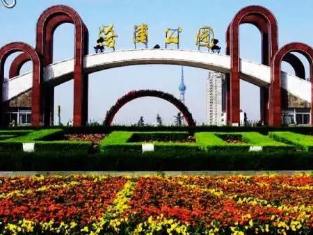 娲涢槼鐢熸椿鏀荤暐,娲涢槼鏈湴鐢熸椿鎸囧崡