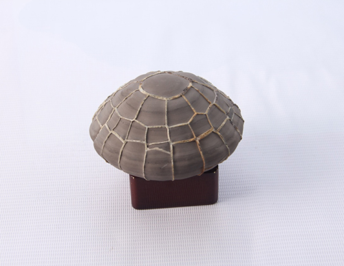 你分得清吗是梦还是现实,你分得清吗文字背景图