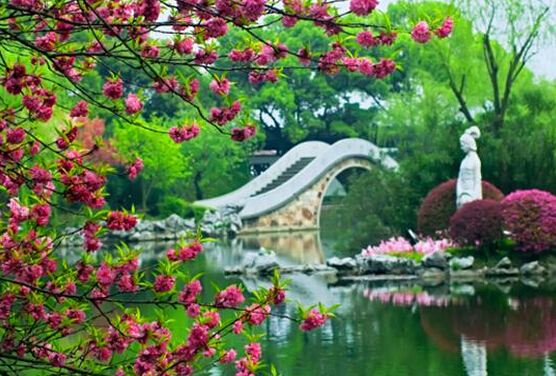 龙猫欢乐世界,龙猫的世界地址