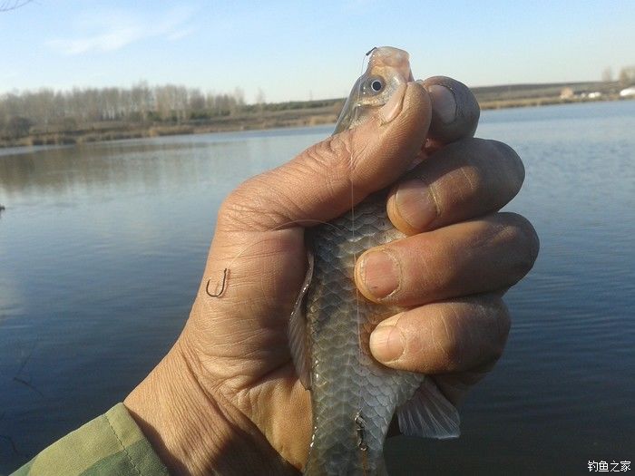 远征远征17,远征17-20